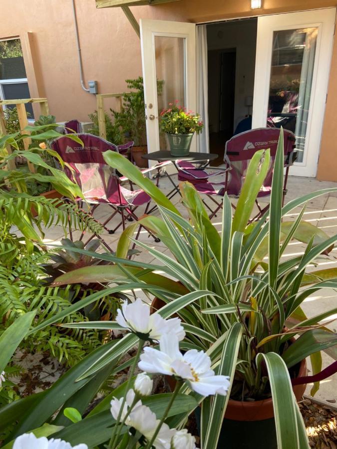 Mermaid'S Cottage West Palm Beach Buitenkant foto